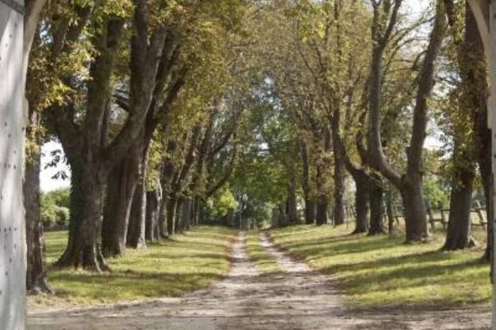 Gîte pour 14 personnes, avec Jardin à Saivres