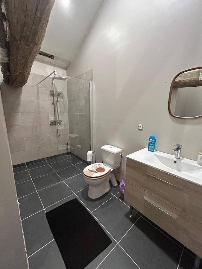 Chambre d’hôte pour 2 personnes, avec terrasse et vue ainsi que jardin et piscine, animaux acceptés à Saint-Astier - 3