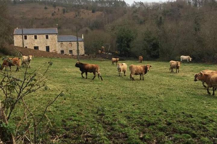 Casa rural para 12 personas, con vistas además de terraza y jardín, Se admiten mascotas en Provincia de Lugo