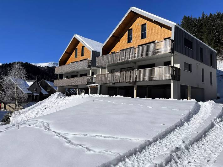 Gîte pour 10 personnes, avec terrasse à Laveissière - 2