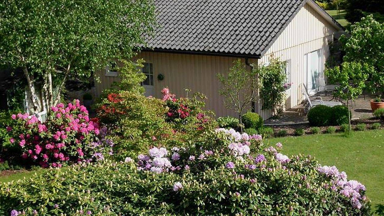 Ganze Ferienwohnung, Ferienwohnung für 4 Personen (80 m²) in Bispingen in Bispingen, Landkreis Heidekreis