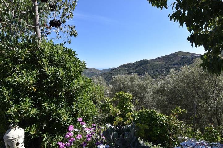 Finca für 4 Personen, mit Garten und Terrasse in Cómpeta - 2