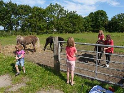 Bauernhof für 4 Personen, mit Garten, kinderfreundlich in Ostfriesland - 3
