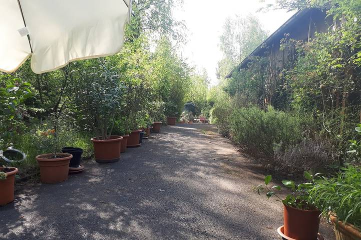 Ferienhaus für 5 Personen, mit Terrasse und Whirlpool sowie Garten - 1