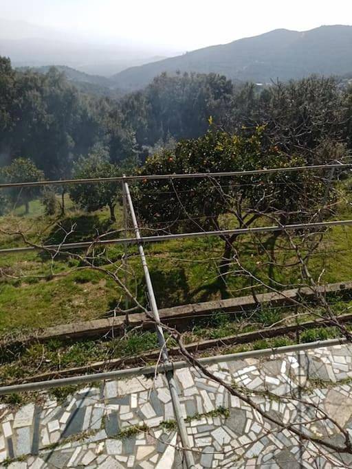 Location de vacances pour 5 personnes, avec vue ainsi que jardin et terrasse, animaux acceptés à Valle-di-Mezzana - 3