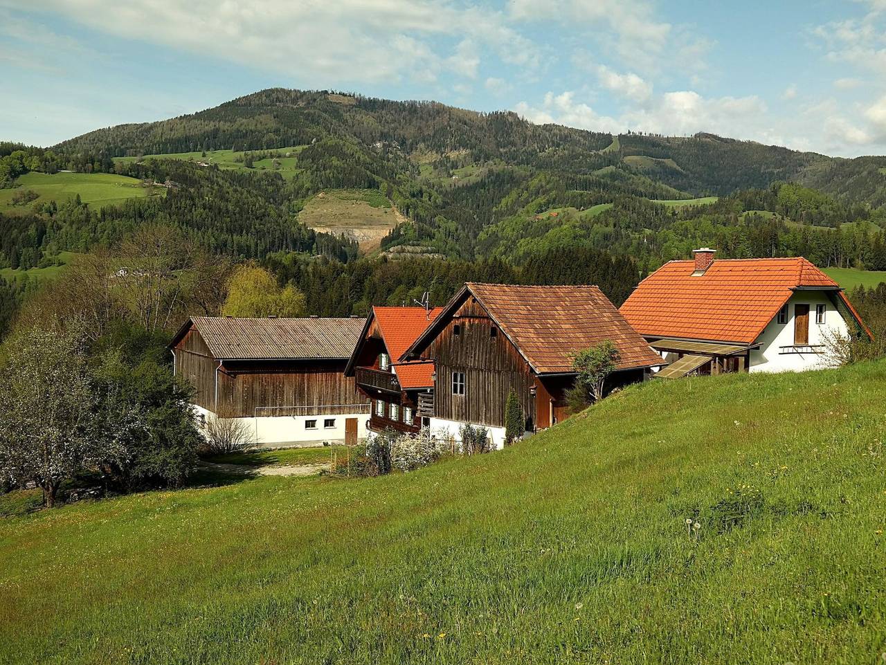 Ganze Ferienwohnung, Ferienwohnungen Raczkowski - Revitalisiertes Bauernhaus: Appartement Forstwald in Steirerland