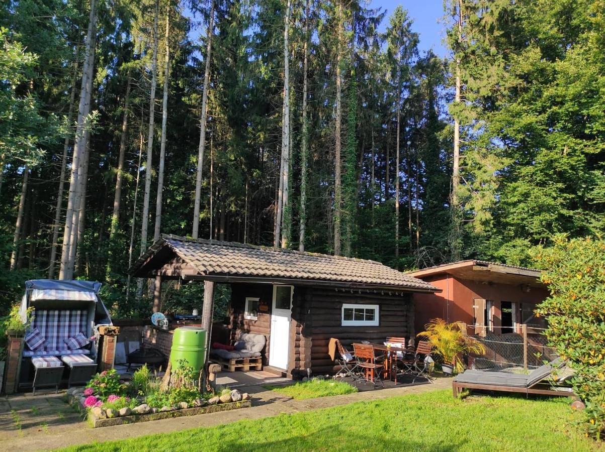 Casa Foresta - minimalistisches 1-Raum Tiny House direkt am Wald in Wingst, Cuxland
