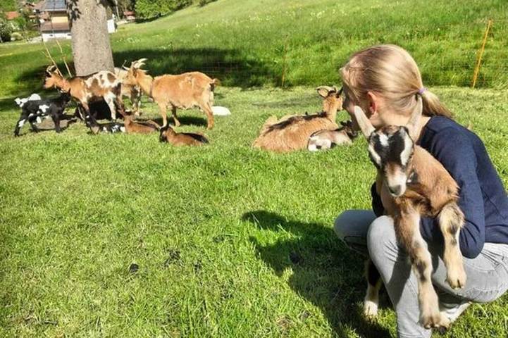 Agriturismo für 3 Personen, mit Garten in Fischbachau - 3