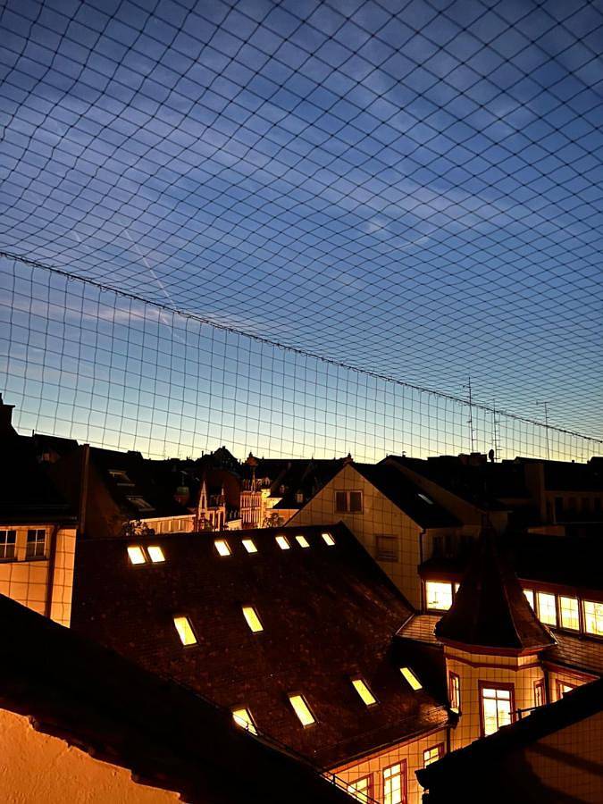 Ganze Wohnung, City Center Rooftop Balcony-Studio at town hall in Basel 1 Rüdengasse, Basel