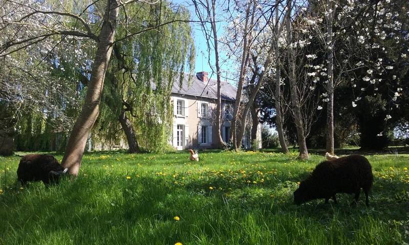 Location de vacances pour 7 personnes, avec jardin et piscine à Vouneuil-sur-Vienne - 4