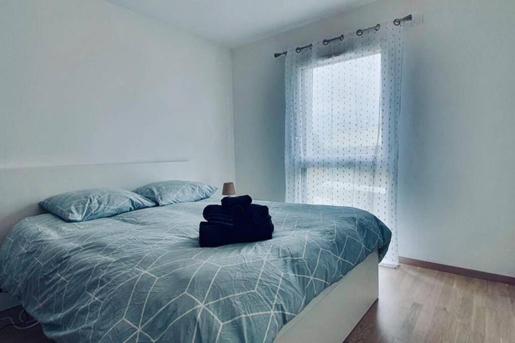 Appartement entier, Le Laudon 3 étoiles - Familiale, Moderne, Tout équipé, Proche Lac et commodités in Saint-Jorioz, Parc naturel régional du Massif des Bauges