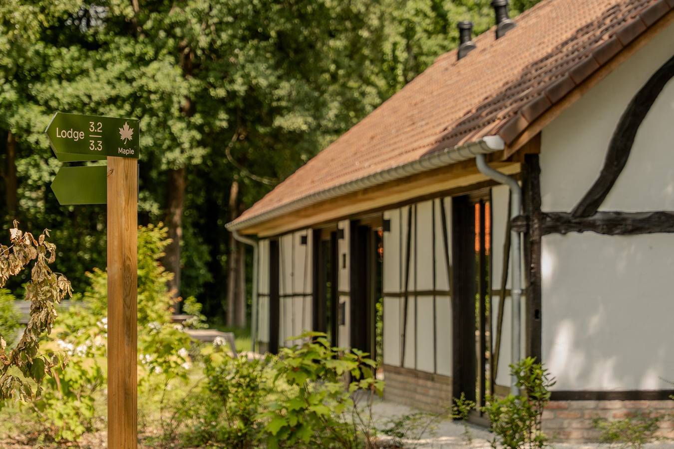 Woodz Lodges — Villa Lodge mit Whirlpool | 8 Personen in Heusden-Zolder, Hasselt und Umgebung