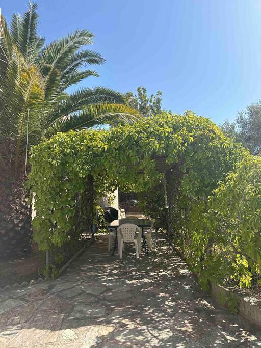 Gîte pour 5 personnes, avec terrasse et jardin à Aregno - 3