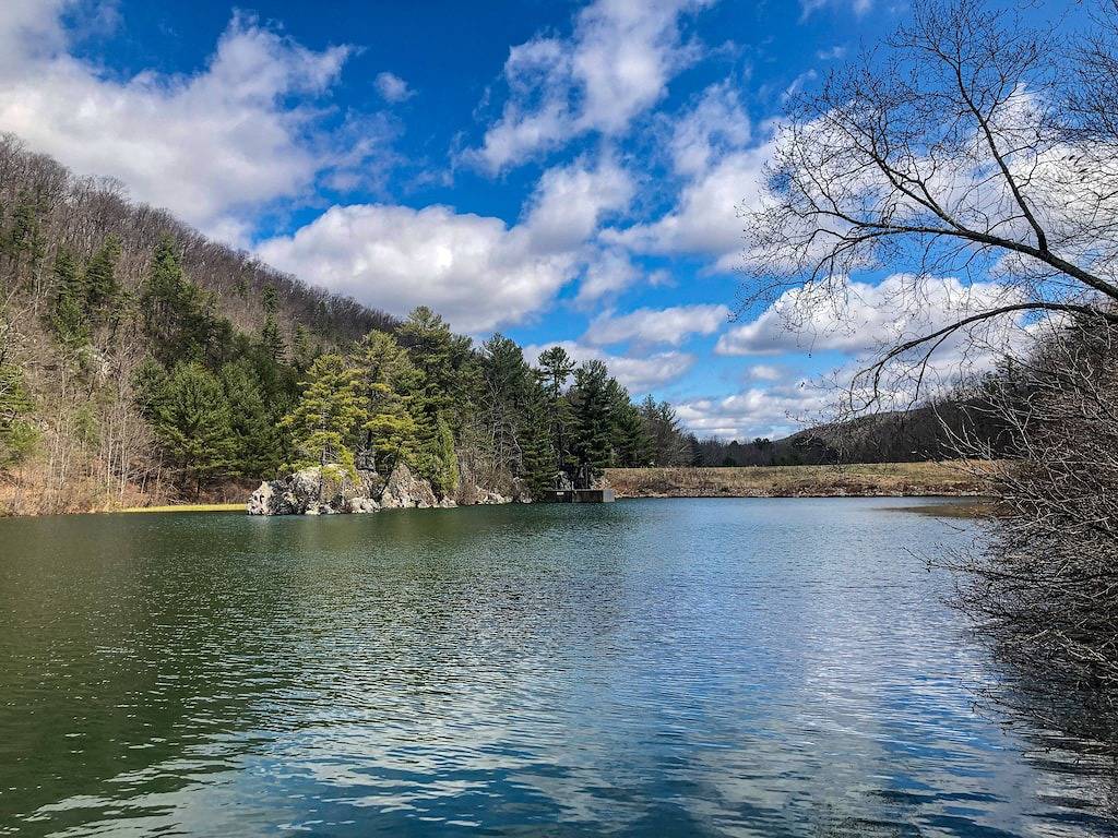 3Br Cabin Getaway: Hike & Swim Nearby! Modern, dog-friendly, wi-fi + king suite in Seneca Rocks