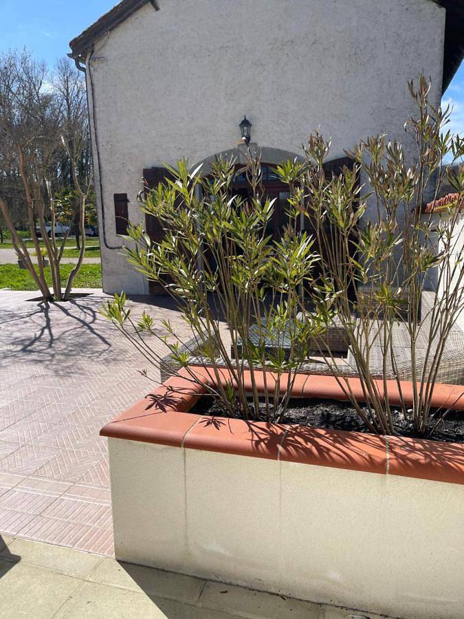 Villa pour 14 personnes, avec vue ainsi que jardin et piscine, animaux acceptés dans les Hautes-Pyrénées - 3