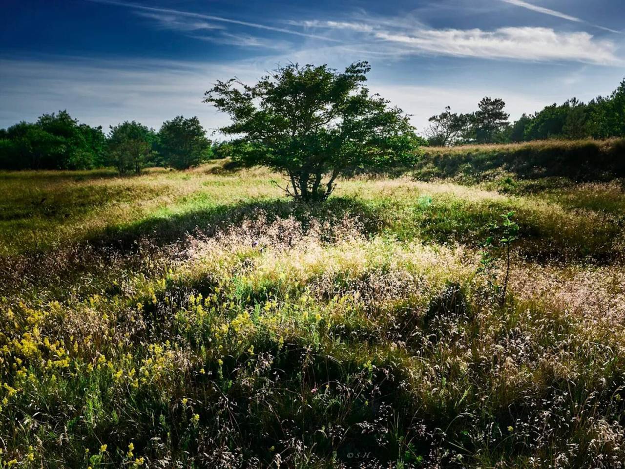 6 Personen Ferienhaus in Hals in Hals, Limfjord in Nordjütland