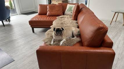 Vakantiewoning voor 6 Personen in Steinhude, Steinhuder Meer, Afbeelding 4