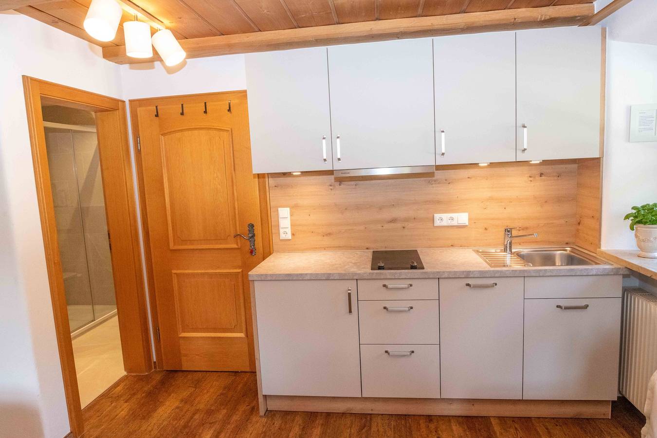 Ganze Ferienwohnung, Knoglerhof inkl. Chiemgaukarte - 1 Appartement 35qm, Balkon, Kochnische, 1 Wohnschlafzimmer, max 2 Pers, Wlan in Ruhpolding, Bayerische Alpen