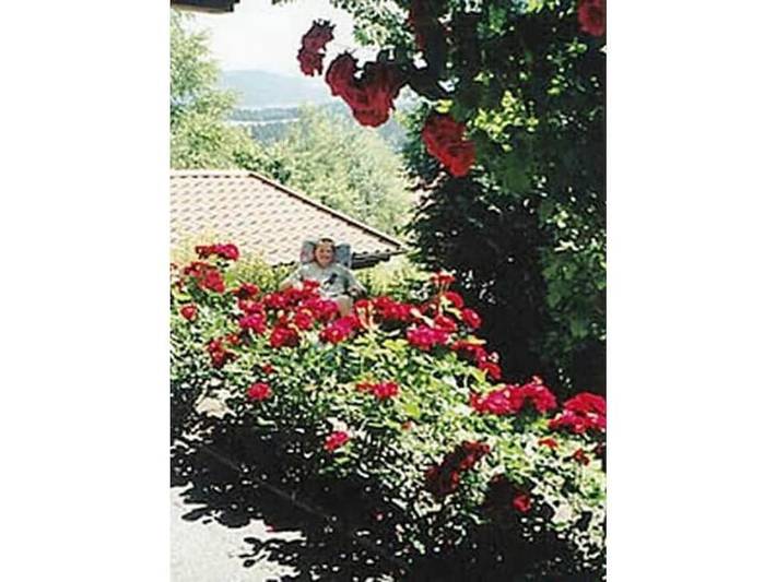 Ferienhaus für 6 Personen, mit Balkon und Terrasse sowie Garten