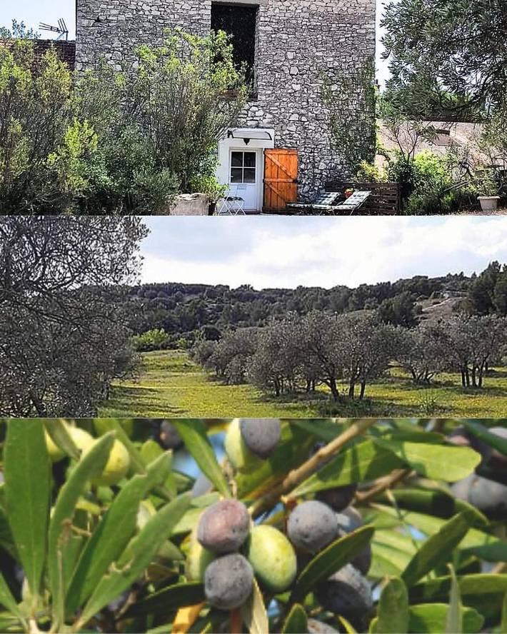 Apartamento de vacaciones para 2 personas, con piscina además de jardín y vistas - 1