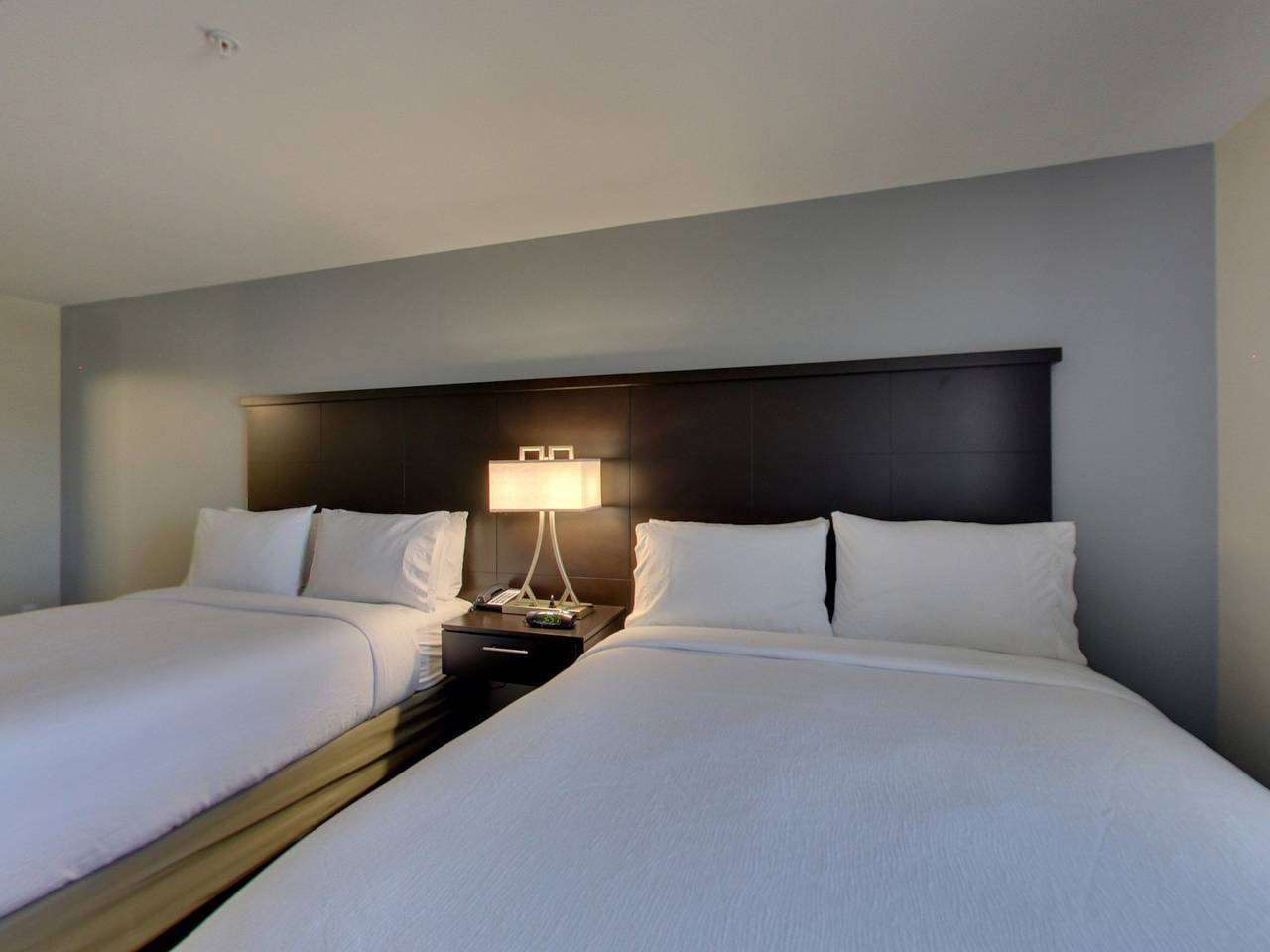 Monolocale intero, Staybridge Madison - Fitchburg in Fitchburg, Contea di Dane