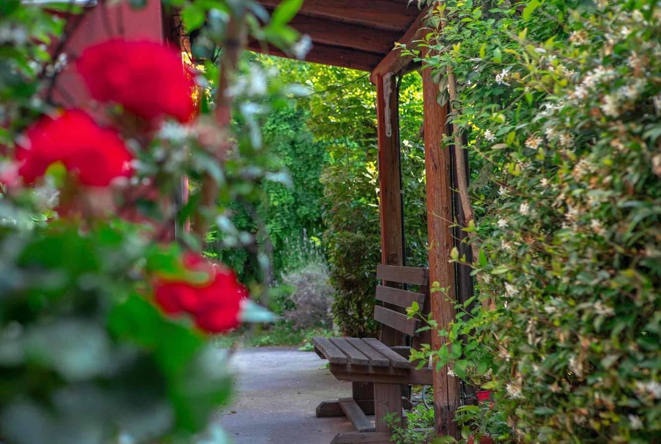 Appartamento 'Camera Giuly' con Giardino in Comune, Wi-Fi e Aria Condizionata in Mestre, Venezia