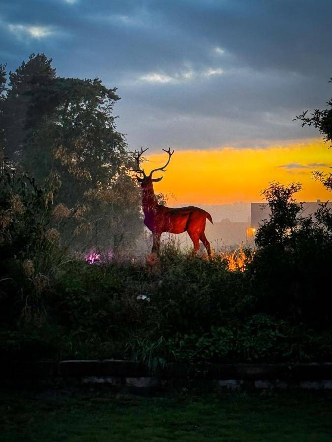 Villa für 8 Personen, mit Sauna und Whirlpool sowie Garten, mit Haustier in Schweden - 2