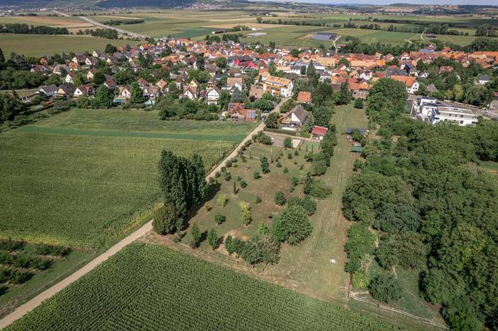 Villa pour 15 personnes, avec jacuzzi et piscine ainsi que jardin et sauna en Alsace - 3