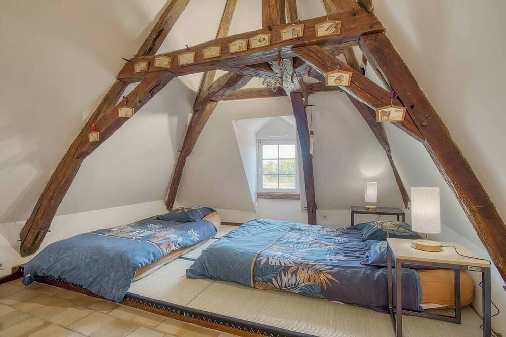 Appartement entier, Gite de l'île d'Eole in La Chapelle-sur-Loire, Vallée de la Loire