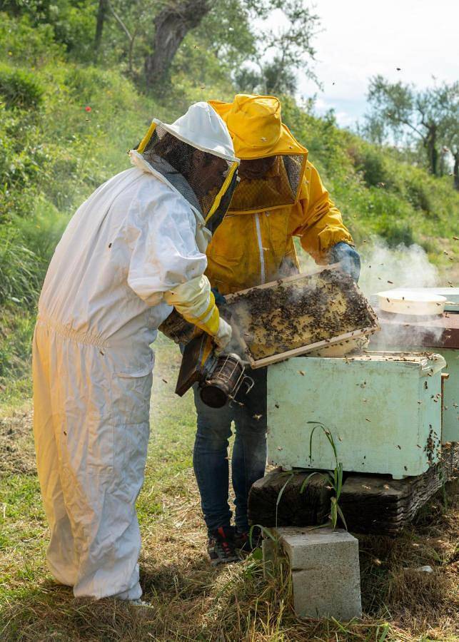 Agriturismo Due Comuni in Pontedera, Pisa Provinz