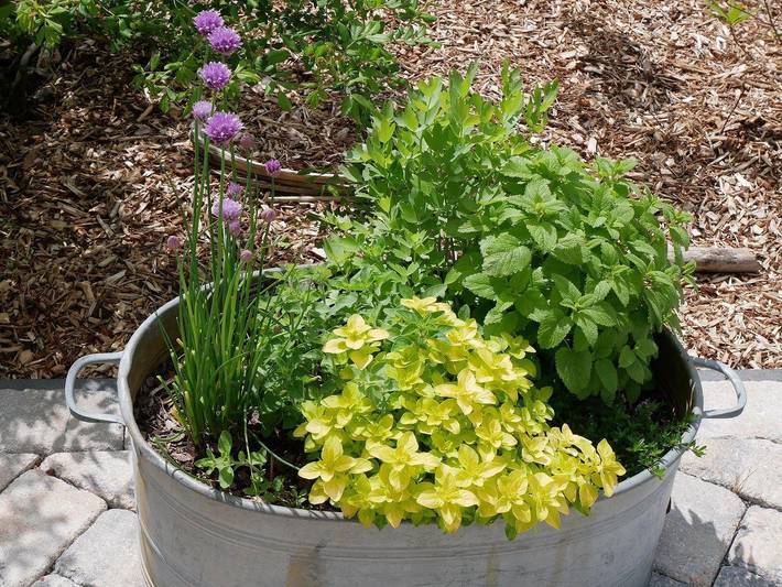 Ferienwohnung für 2 Personen, mit Garten und Terrasse in Bosau - 4