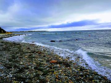 Ferieudlejning til 14 Personer i Kegnæs, Lillebælt, Billede 4