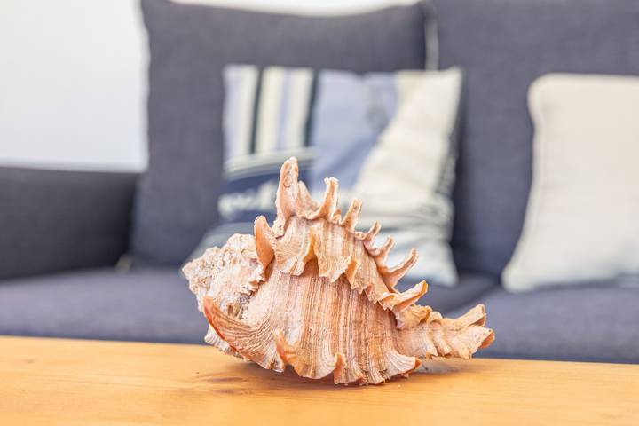 Casa de vacaciones «Pequeña Casa Cómoda para 4» con terraza, jardín privado y Wi-Fi in Saint-Pierre-d'Oléron, Côte de Beauté