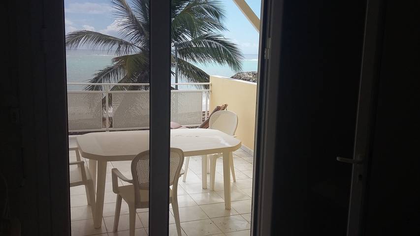 Gîte pour 2 personnes, avec terrasse, animaux acceptés dans Marie-Galante - 3
