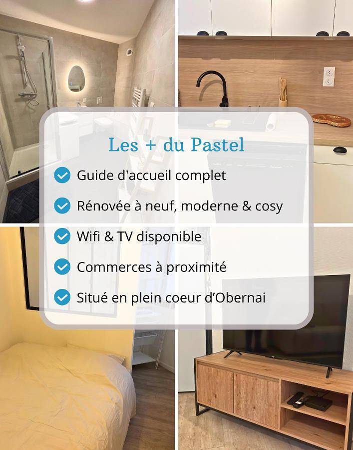 Appartement entier, One-Bedroom Apartment in Obernai, Région de Sélestat-Erstein