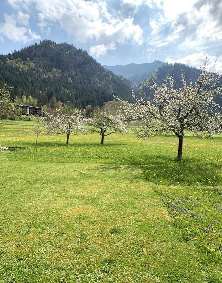 Ganze Wohnung, One-Bedroom Apartment in Bad Oberdorf, Bad Hindelang
