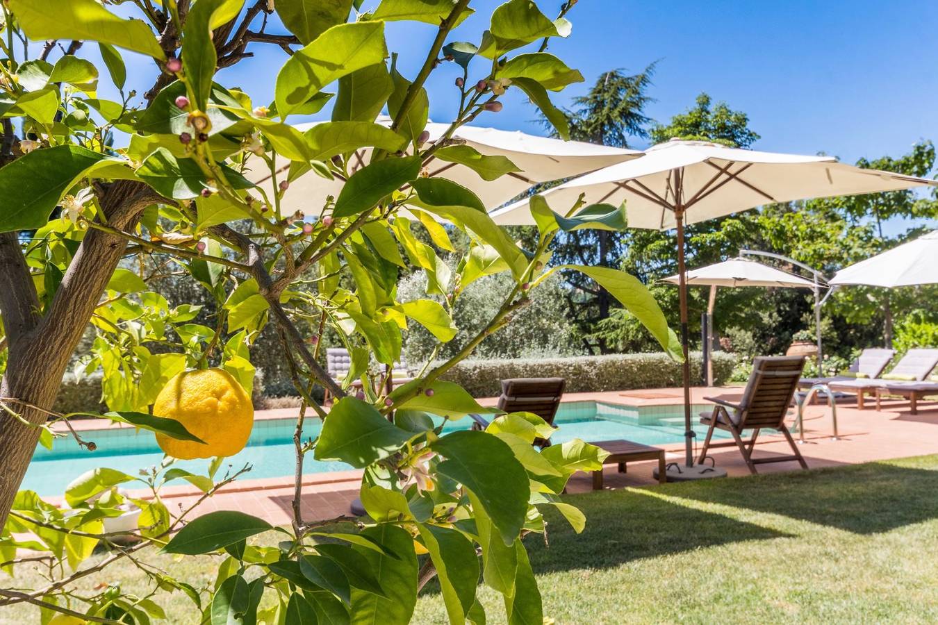 Villa Dei Limoni in Ripatransone, Ascoli Piceno Provinz