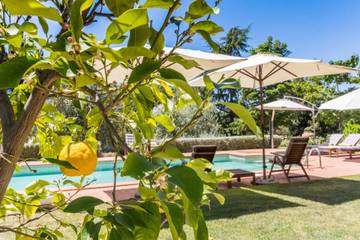 Glamping per 13 Persone in Ripatransone, Costa Adriatica Marche, Foto 4