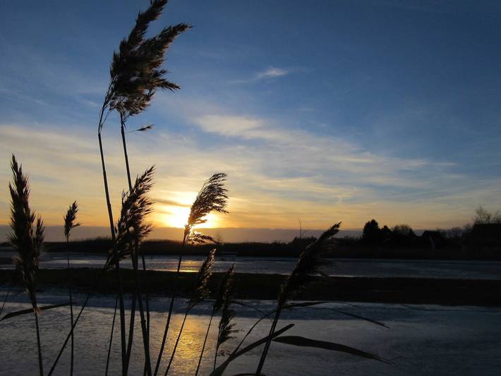 Ferienhaus für 7 Personen, mit Sauna und Terrasse sowie Garten in Prerow - 4