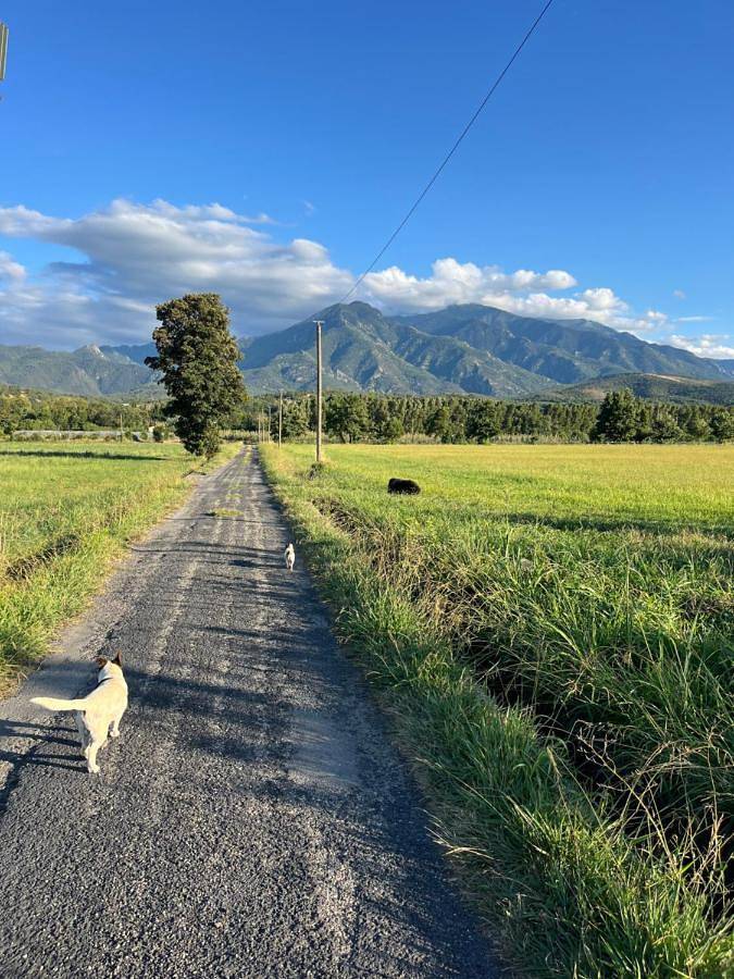Location de vacances pour 2 personnes, avec terrasse ainsi que jardin et vue à Prades - 2