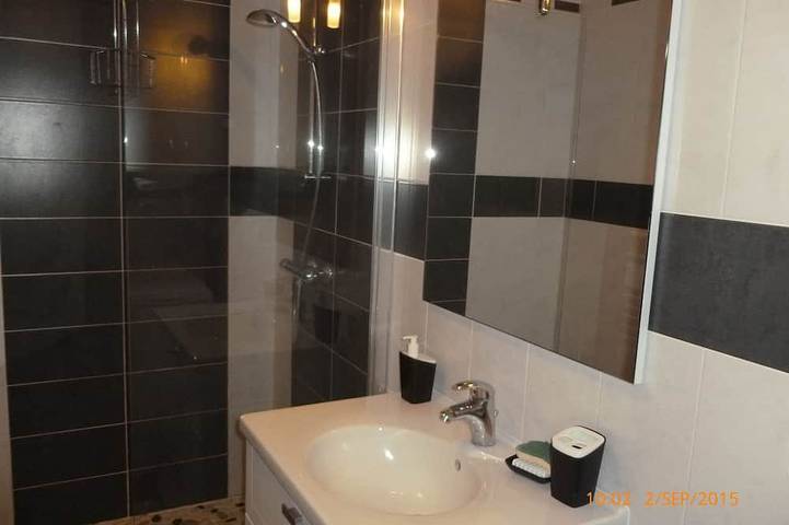 Gîte pour 4 personnes, avec jardin à Commequiers - 3