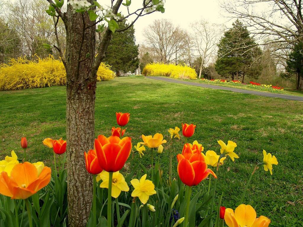 Ky Lake Arts & Crafts Cedar Shake Home - Privates Dock / Bootsverleih vor Ort * in Kentucky Lake