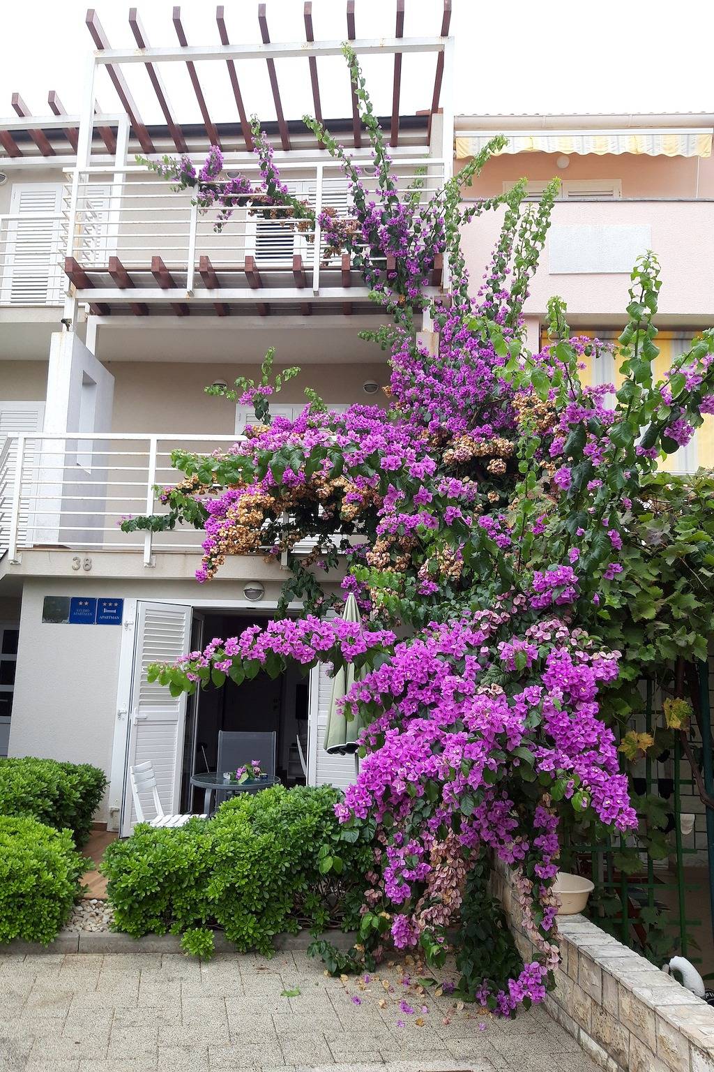Ganze Wohnung, 1-Zimmer-Ferienwohnung mit Balkon Novalja, Pag A-25685-a in Novalja, Pag