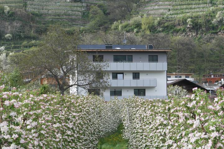 Ferienwohnung für 8 Personen, mit Garten