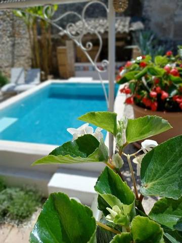 Chambre d’hôte pour 2 personnes, avec jardin et piscine à Dions
