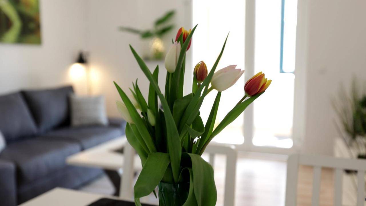 Ganze Wohnung, Lovely Hohen Neuendorf in Hohen Neuendorf, Ruppiner Seenland