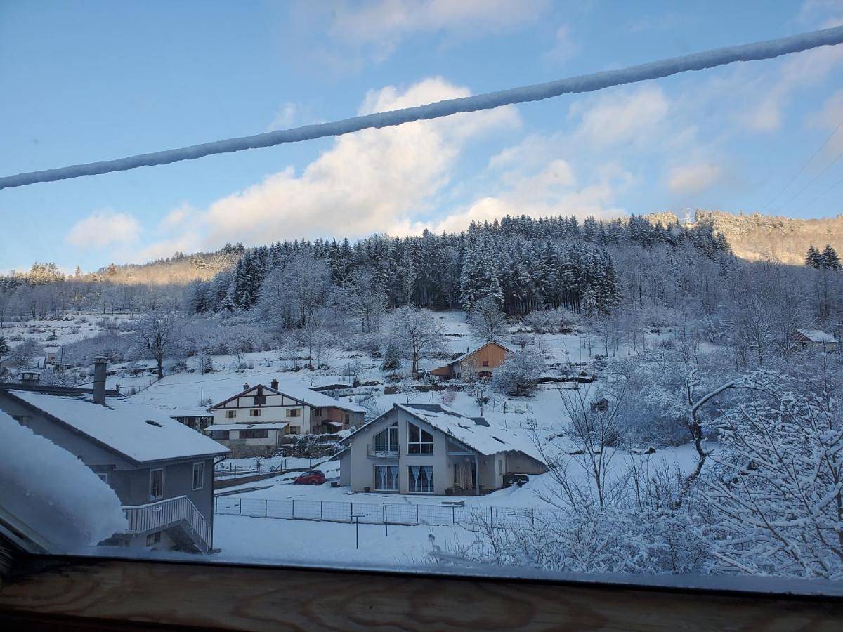 Appartement entier, One-Bedroom Apartment in Plainfaing, Parc naturel régional des Ballons des Vosges