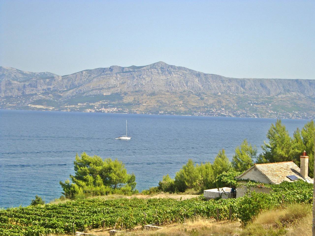 House Krunoslav in Postira, Brac