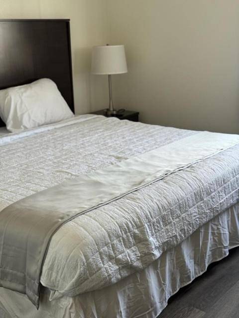 Hôtel pour 2 personnes, animaux acceptés à Minot - 2