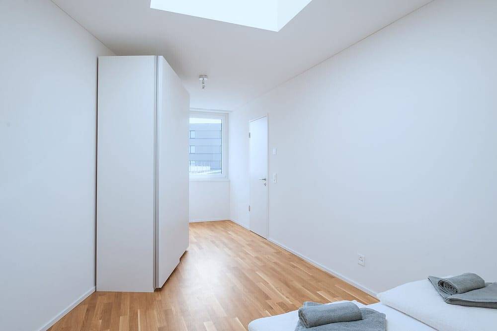 Ganze Wohnung, Bs Hedgehog V - Messe Hitrental Apartment in Basel, Aargau-Basel